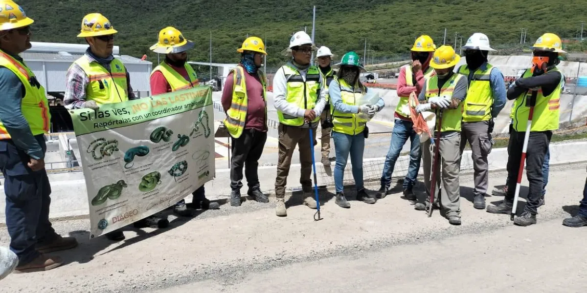 Brigada ambiental de GIASA con herramientas y señalética educativa sobre fauna local, recibiendo capacitación para la protección del medio ambiente.