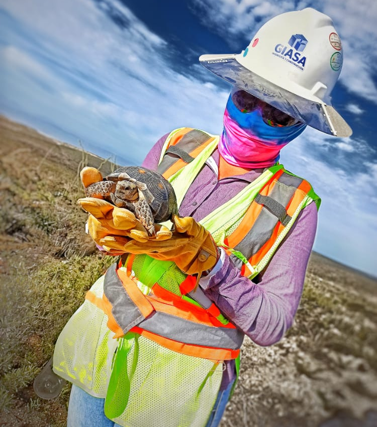 Trabajadora de GIASA con una tortuga en manos